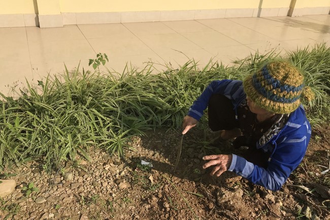 4th day of 16th retreat Practice as the Buddha's teachings” of at Dong Cao Pagoda