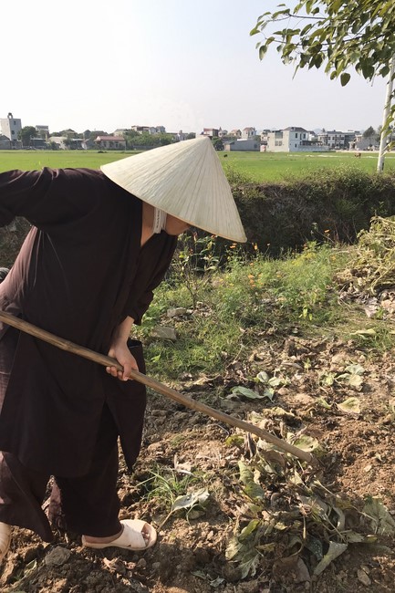 4th day of 16th retreat Practice as the Buddha's teachings” of at Dong Cao Pagoda