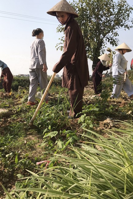 4th day of 16th retreat Practice as the Buddha's teachings” of at Dong Cao Pagoda