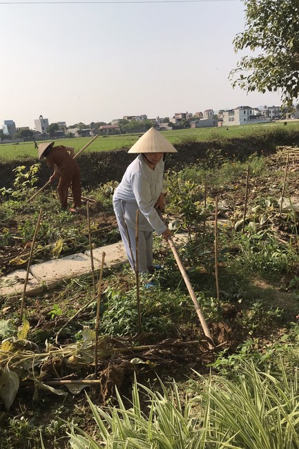 4th day of 16th retreat Practice as the Buddha's teachings” of at Dong Cao Pagoda
