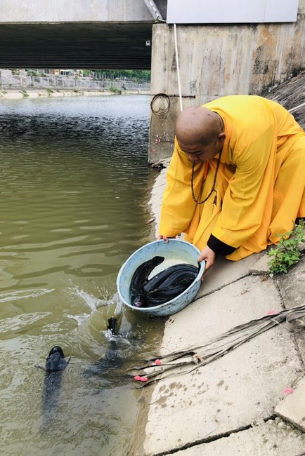 Thiện sự ngày Rằm tại chùa Đống Cao