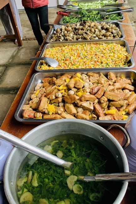 The 9th lotus seeds Sowing Retreat at Dong Cao Pagoda