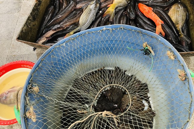 Blessing sowing Program of Dong Cao Pagoda