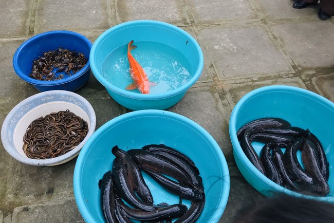 One-Day Retreat at Dong Cao pagoda