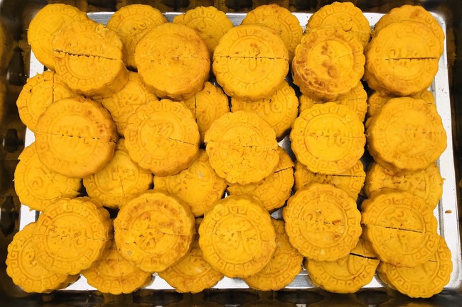 One-Day Retreat at Dong Cao pagoda