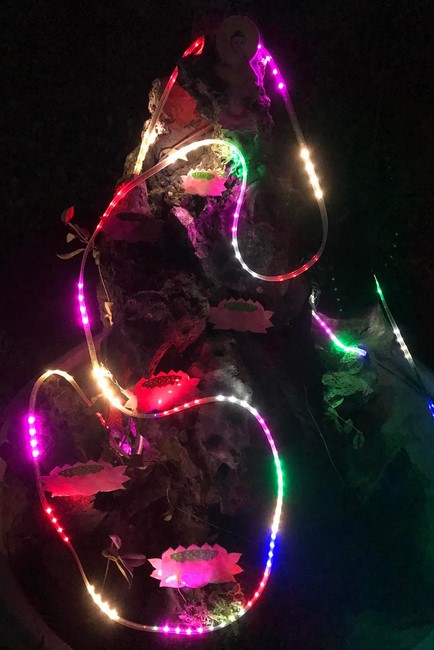 Chùa Đống Cao: Thăm lễ đài, thiết kế vườn Lâm Tỳ Ni tại tư gia