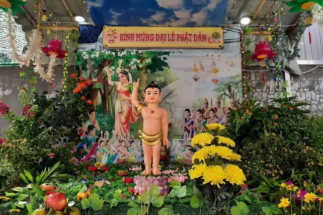 Chùa Đống Cao: Thăm lễ đài, thiết kế vườn Lâm Tỳ Ni tại tư gia