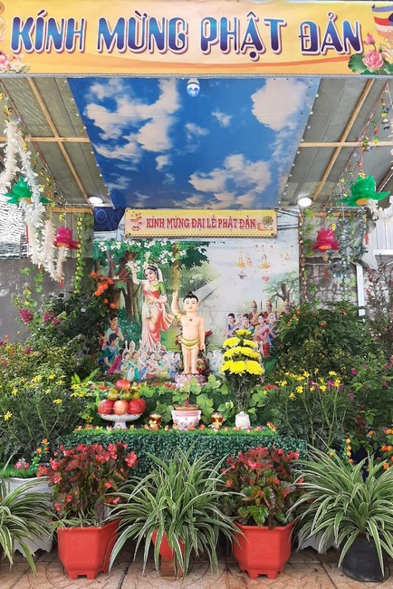 Chùa Đống Cao: Thăm lễ đài, thiết kế vườn Lâm Tỳ Ni tại tư gia