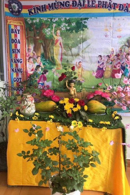 Chùa Đống Cao: Thăm lễ đài, thiết kế vườn Lâm Tỳ Ni tại tư gia