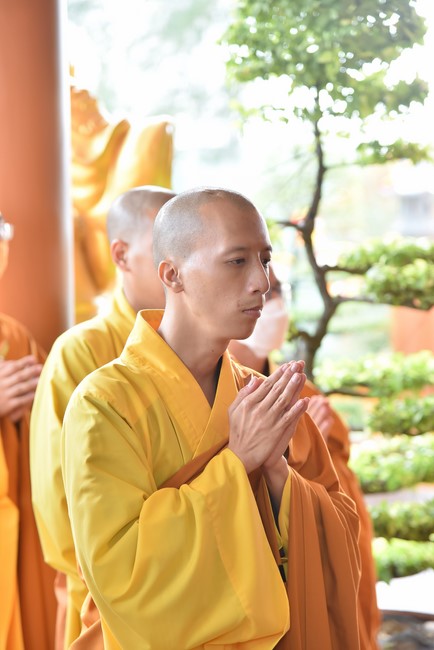 The Monastic Confession 2022