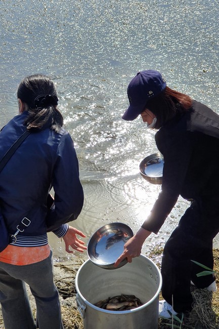Buddha's Birthday Ceremony at Medicine Pagoda, Incheon City, South Korea