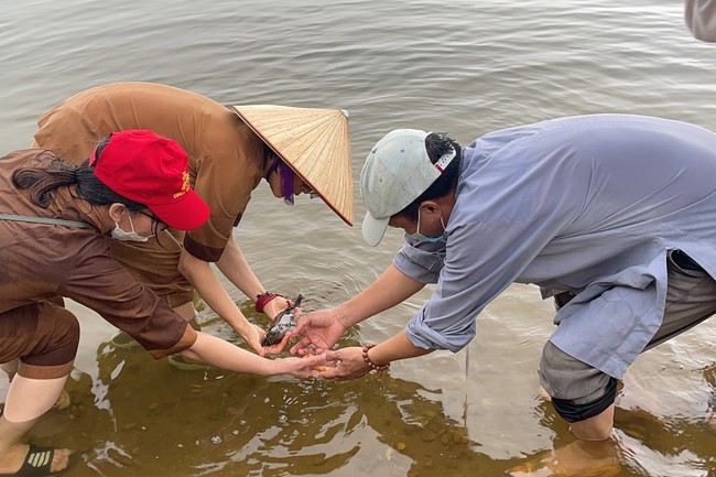 Vesak Great Ceremony in 2022 at Hoa Phuc Pagoda