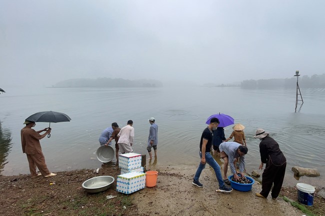 Vesak Great Ceremony in 2022 at Hoa Phuc Pagoda