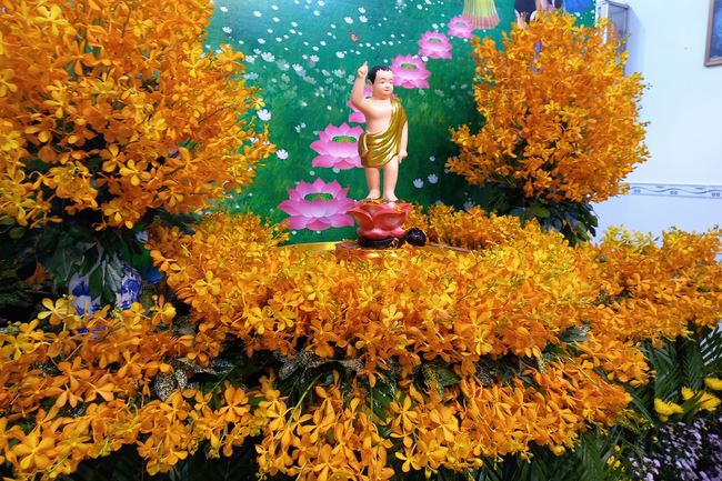 Lễ Phật đản Đạo tràng Minh Chất, Cần Thơ