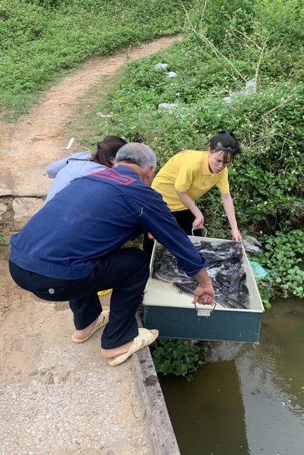 Chương trình ngày Rằm Phật đản 2022 chùa Đống Cao