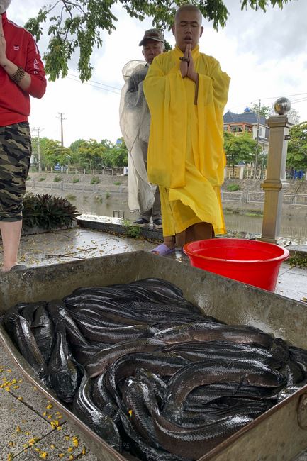 Charity in sowing blessing of Dong Cao Pagoda