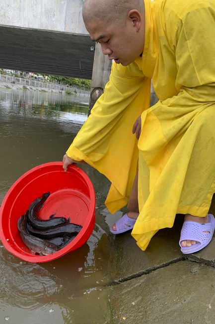Charity in sowing blessing of Dong Cao Pagoda