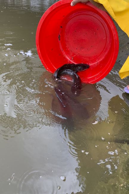 Charity in sowing blessing of Dong Cao Pagoda