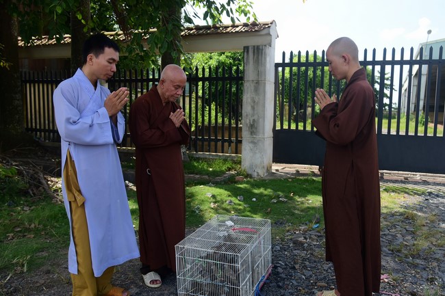 Trao gởi bằng tuyên dương cho Phật tử có thiết kế lễ đài, vườn Lâm-tỳ-ni