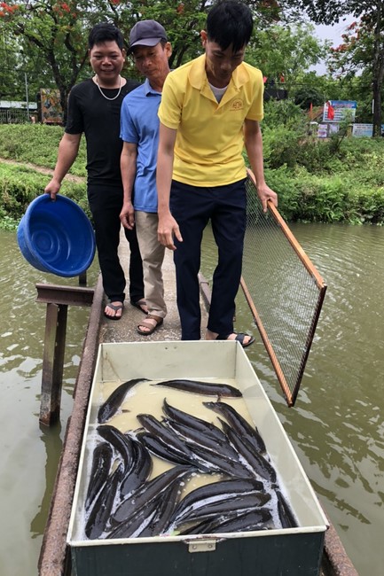 One - Day Retreat at Dong Cao pagoda