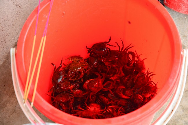 The 2nd One-day Peace Retreat  at Tu Phap Co Tu Pagoda