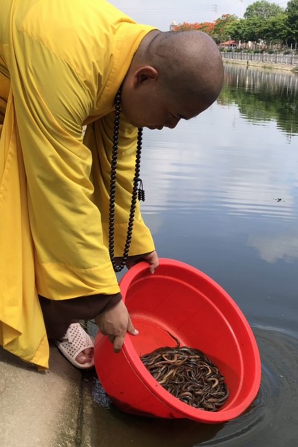Summer Beginning Ceremony for Teenagers and Children at Dong Cao Pagoda