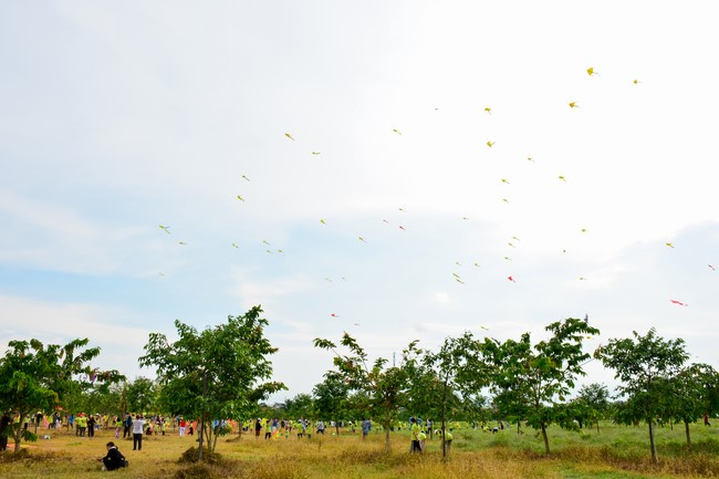 Outdoor trip of Wisdom Nurturing Class