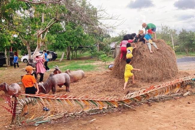 Khóa tu thanh thiếu niên: Chuyến dã ngoại nông trại và sân chim Vàm Hồ, Bến Tre