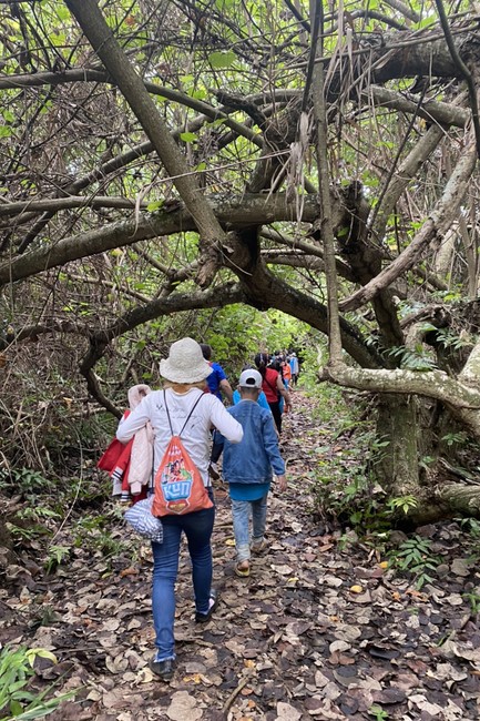 Khóa tu thanh thiếu niên: Chuyến dã ngoại nông trại và sân chim Vàm Hồ, Bến Tre