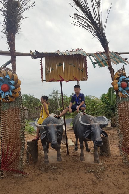 Khóa tu thanh thiếu niên: Chuyến dã ngoại nông trại và sân chim Vàm Hồ, Bến Tre