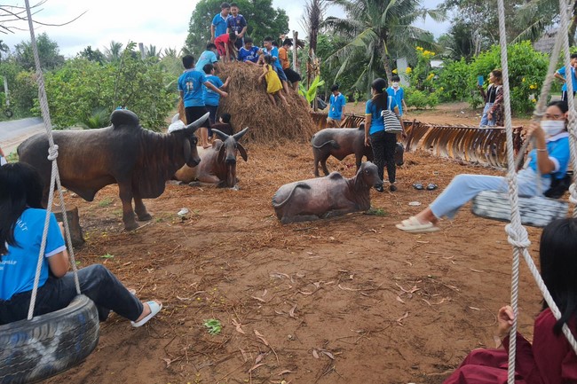 Khóa tu thanh thiếu niên: Chuyến dã ngoại nông trại và sân chim Vàm Hồ, Bến Tre