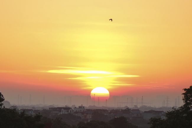 Buddha bathing ceremony - Opening of the Buddha's Birthday week at Hoa Phuc Pagoda