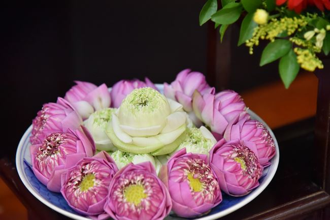 One Day Retreat for Students