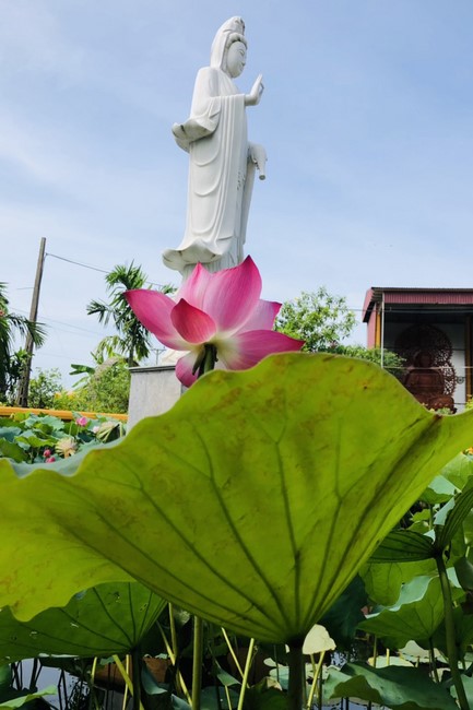 The charity program on May at Dong Cao Pagoda