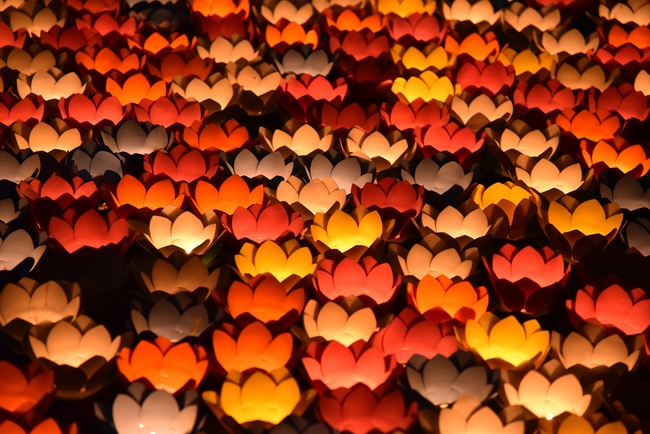 The fifth day of Temporary Ordination Retreat for Children in Summer