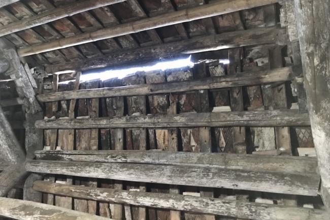 Charity trip to share love of Dong Cao Pagoda