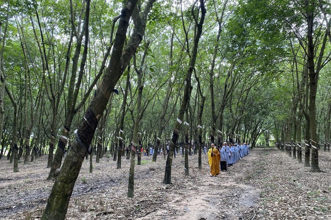 One Day Peaceful Retreat at Suoi Phap Pagoda
