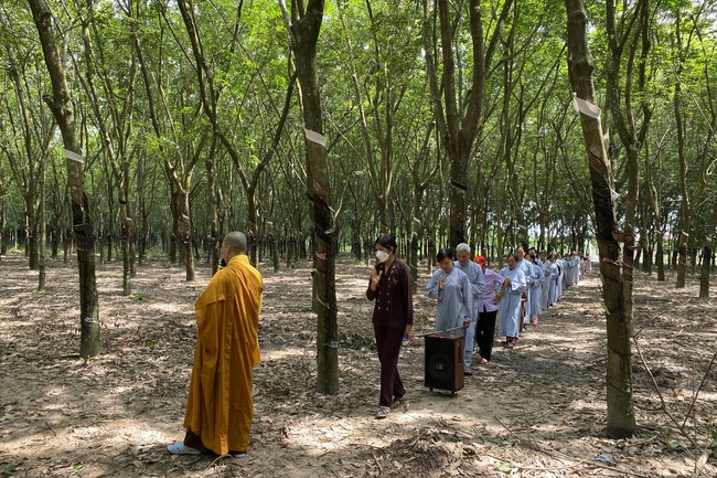 One Day Peaceful Retreat at Suoi Phap Pagoda