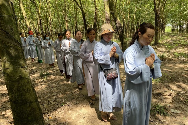 One Day Peaceful Retreat at Suoi Phap Pagoda