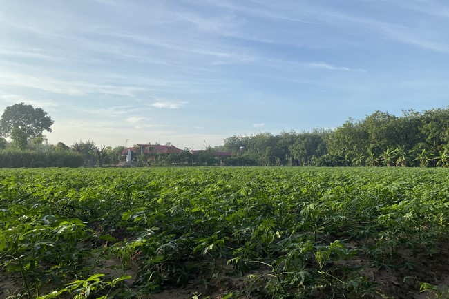 One Day Peaceful Retreat at Suoi Phap Pagoda