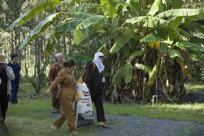 Pilgrimage to offer the Three Jewels