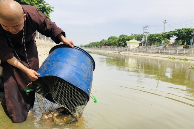 Charity in sowing blessing of Dong Cao Pagoda