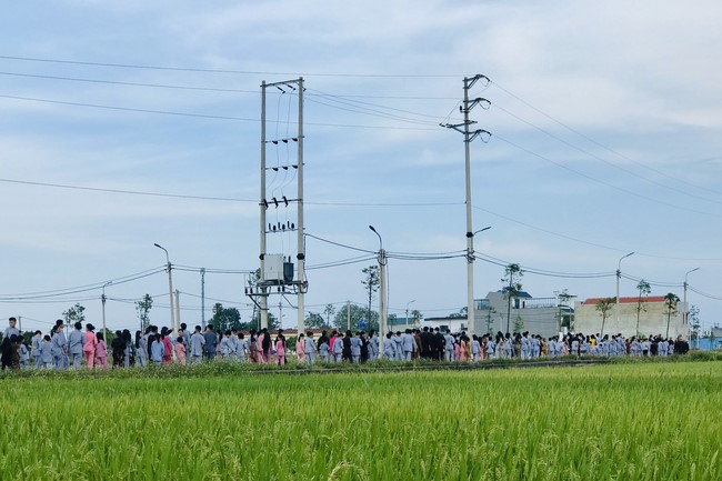 The 3rd Day of Temporary Ordination in Summer for Children