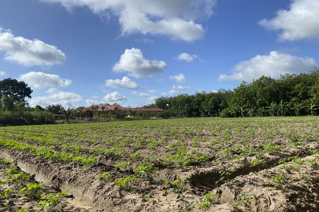 Kid Playground at Suoi Phap Pagoda