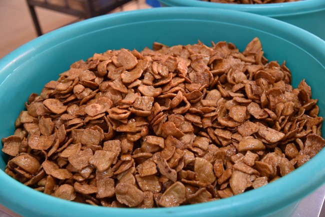 The 5th Day of Huong Phap Branch 's Teenage Retreat, Cu Chi