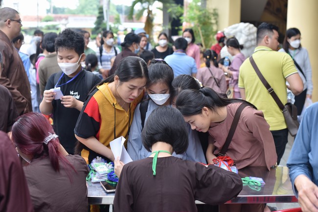 The 33rd Kid Playground