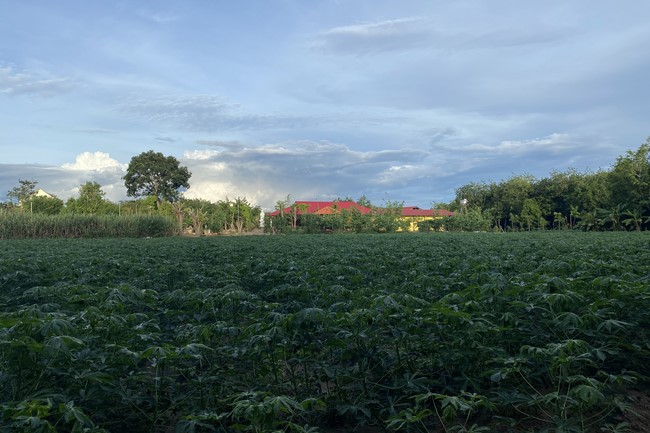 Khóa tu một ngày chùa Suối Pháp