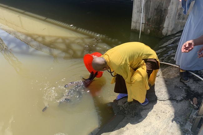 Chùa Đống Cao: Thiện nguyện yêu thương