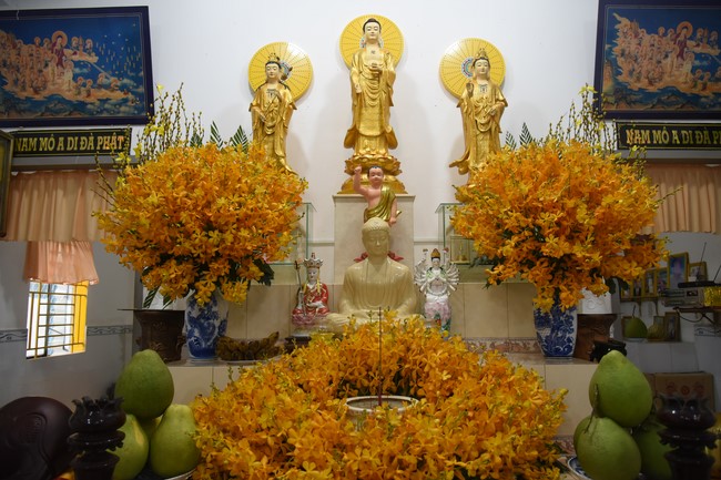 Tu niệm Phật Một ngày Cần Thơ – Lần 5