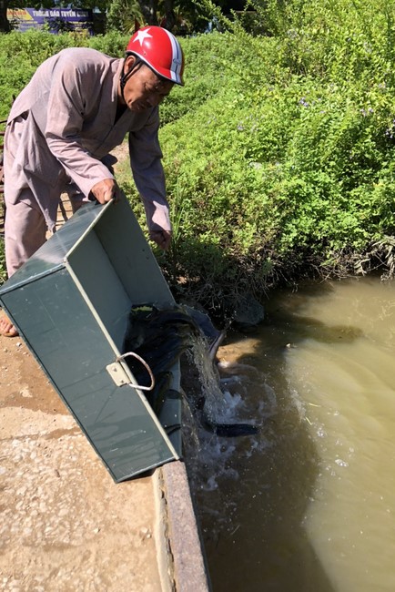 Chùa Đống Cao: Khóa tu Niệm Phật một ngày